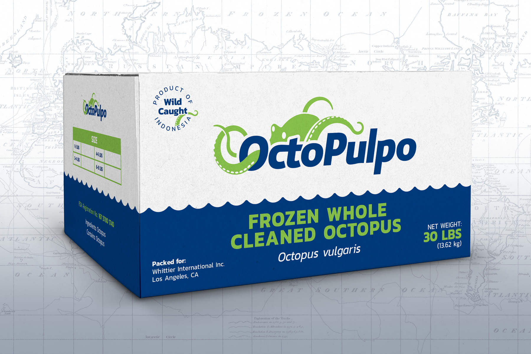 a box of whole clean octopus on a world map
