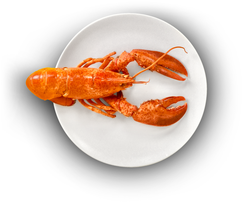 a lobster on a plate